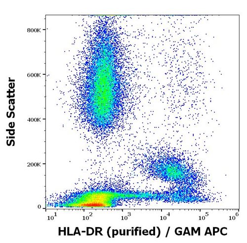 Anti-HLA-DR Purified