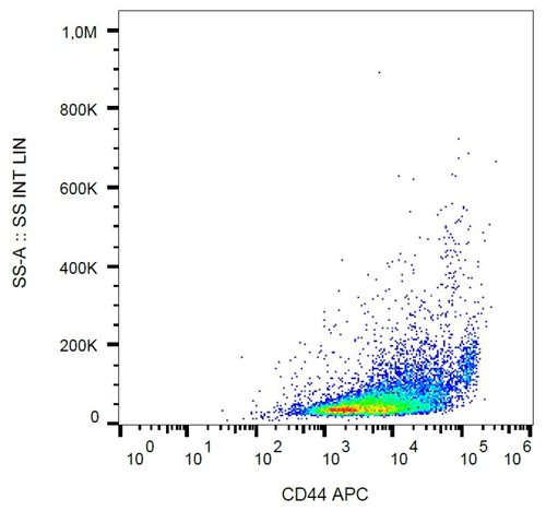 Anti-Ms CD44 APC