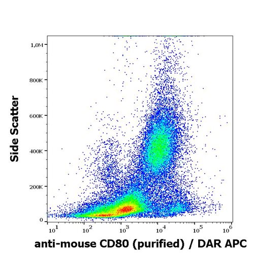 Anti-Ms CD80 Purified Low Endotoxin