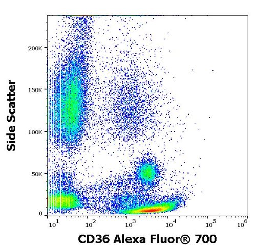 Anti-Hu CD36 Alexa Fluor<sup>®</sup> 700