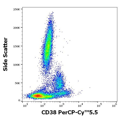 Anti-Hu CD38 PerCP-Cy™5.5
