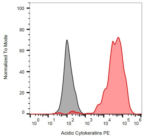 Anti-Acidic Cytokeratins PE
