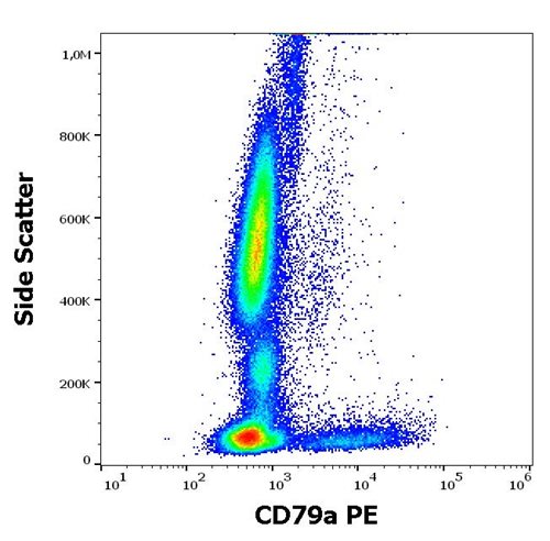 Anti-Hu CD79a PE