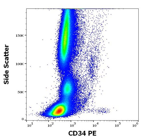 Anti-Hu CD34 PE