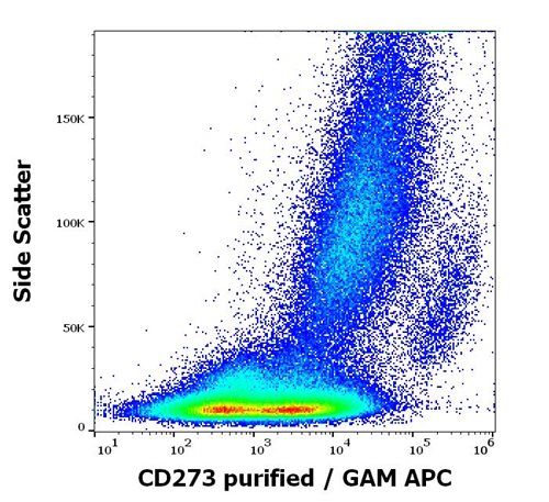 Anti-Hu CD273 Purified