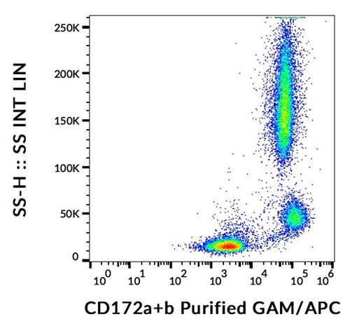 Anti-Hu CD172ab Purified