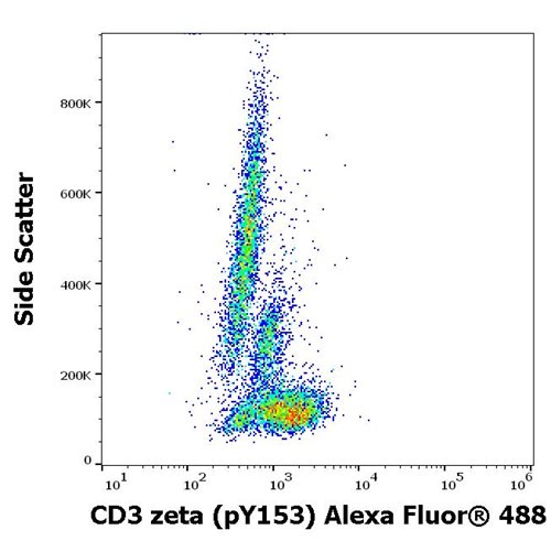 Anti-Hu CD3 zeta (pY153) Alexa Fluor<sup>®</sup> 488