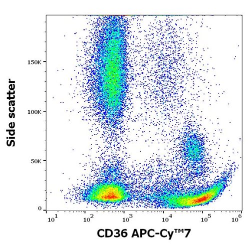 Anti-Hu CD36 APC-Cy™7