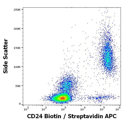 Anti-Hu CD24 Biotin