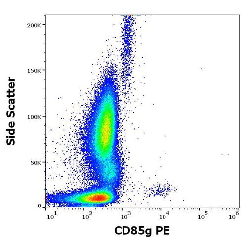 Anti-Hu CD85g PE