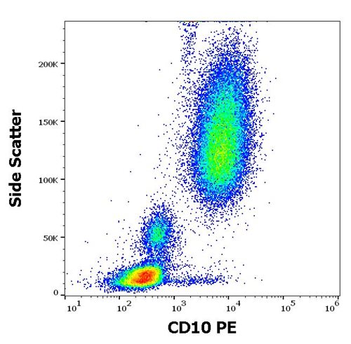 Anti-Hu CD10 PE