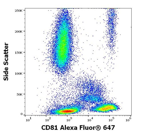 Anti-Hu CD81 Alexa Fluor<sup>®</sup> 647