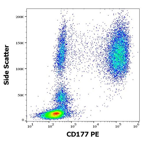 Anti-Hu CD177 PE